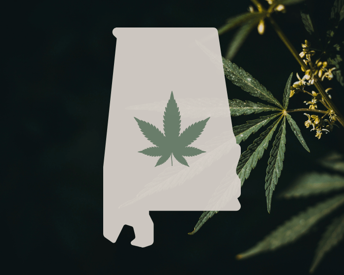 Alabama CBD shop raided, police seize items believed to have ‘illegal amounts’ of THC