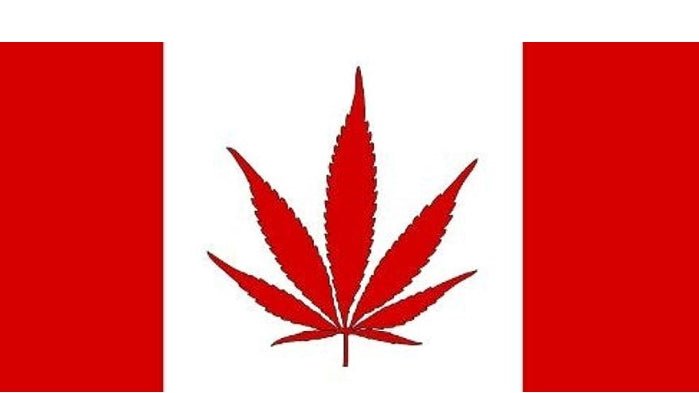 Canadian Cannabis Companies Abandon the U.S. CBD Sector