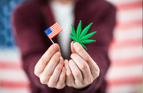 Federal legalization of cannabis? 3 senators champion the cause.