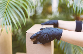 Buy Delta 8 THC Online in Clearwater, Florida