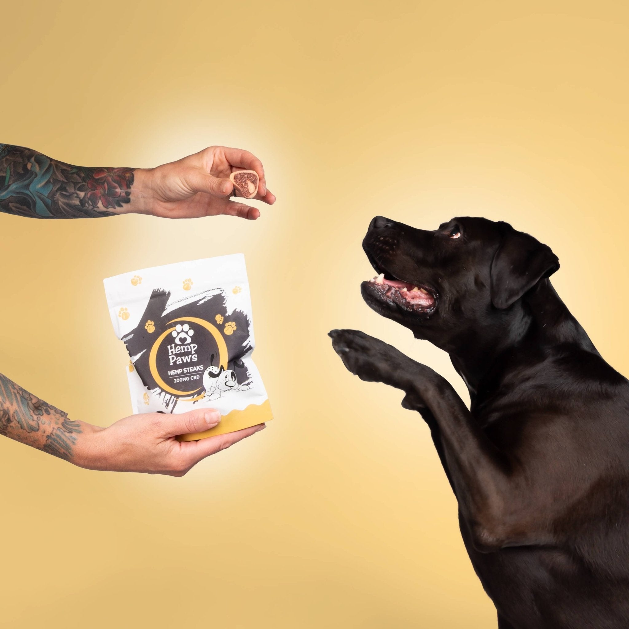 Hemp Paws CBD Dog Treats – Hemp Extract