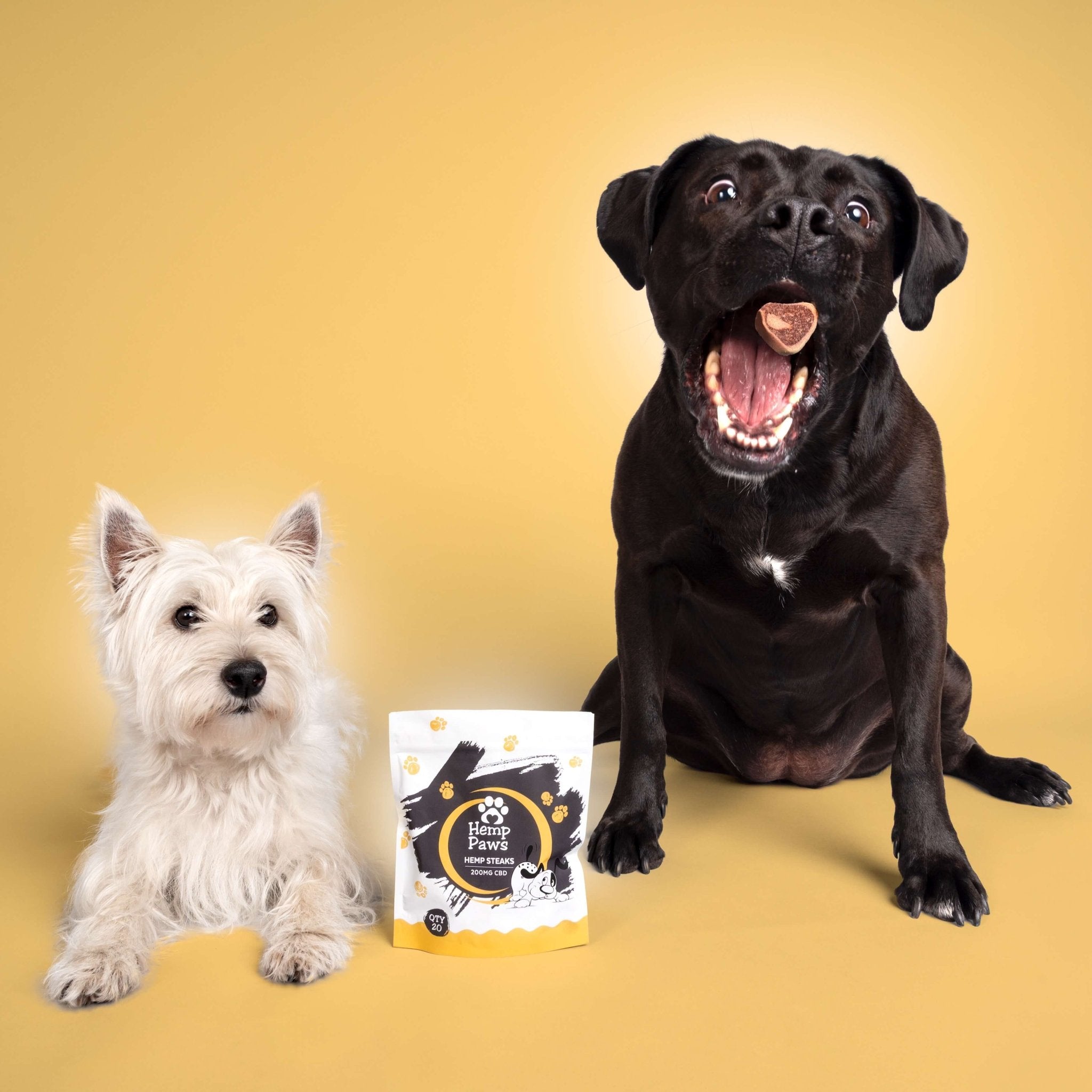 Hemp Paws CBD Dog Treats – Hemp Extract