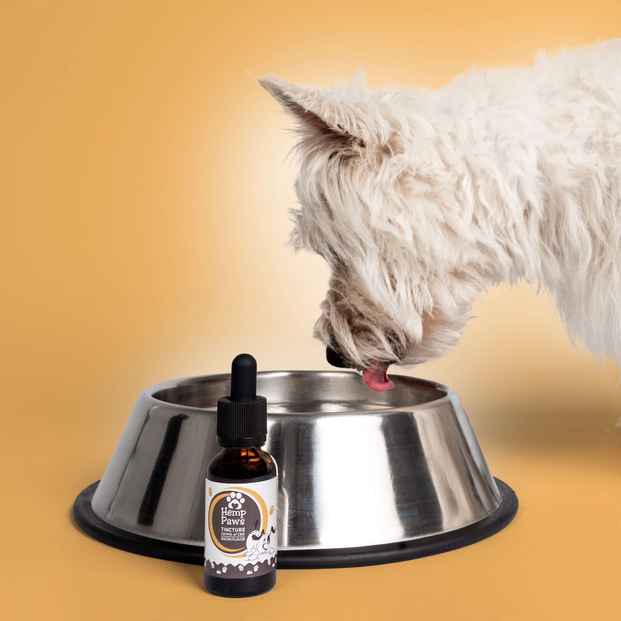 Hemp Paws CBD Pet Tincture – Hemp Extract