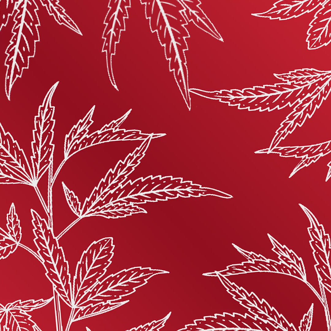 Live Rosin THC Gummies |  Strawberry Lemonade