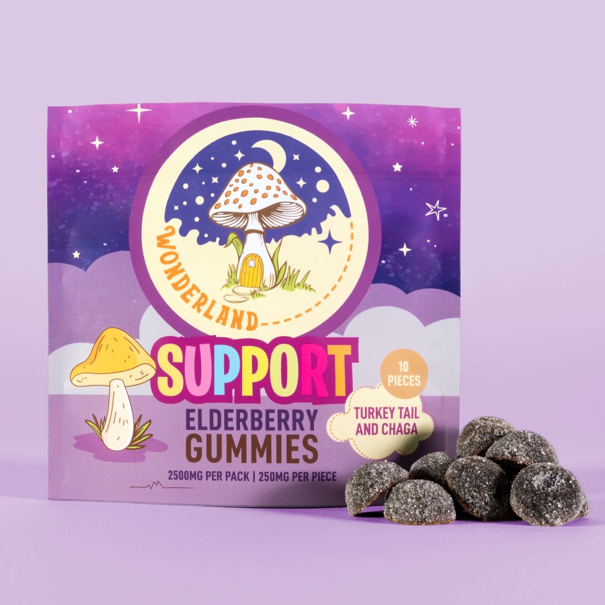 Turkey Tail & Chaga Mushroom Gummies for Support